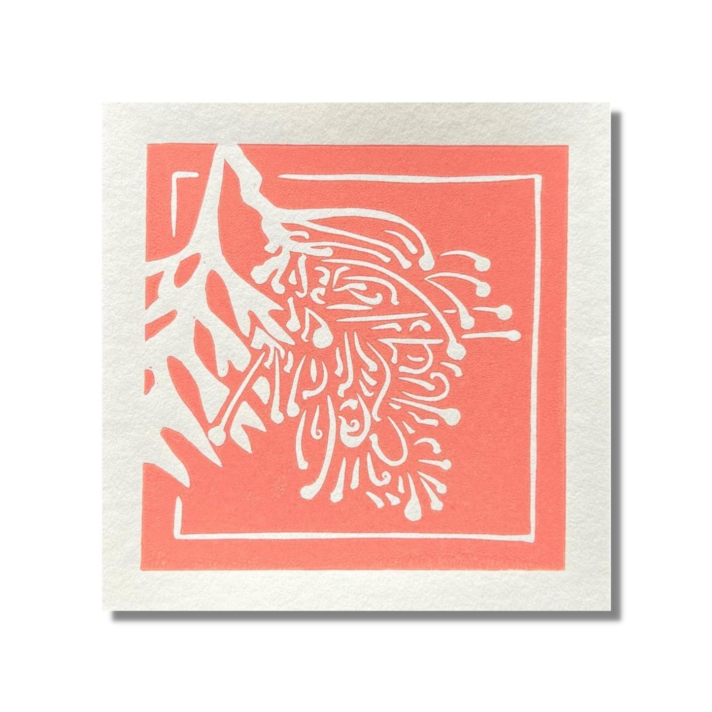 Yuile Street Greeting Card - Native Grevillea