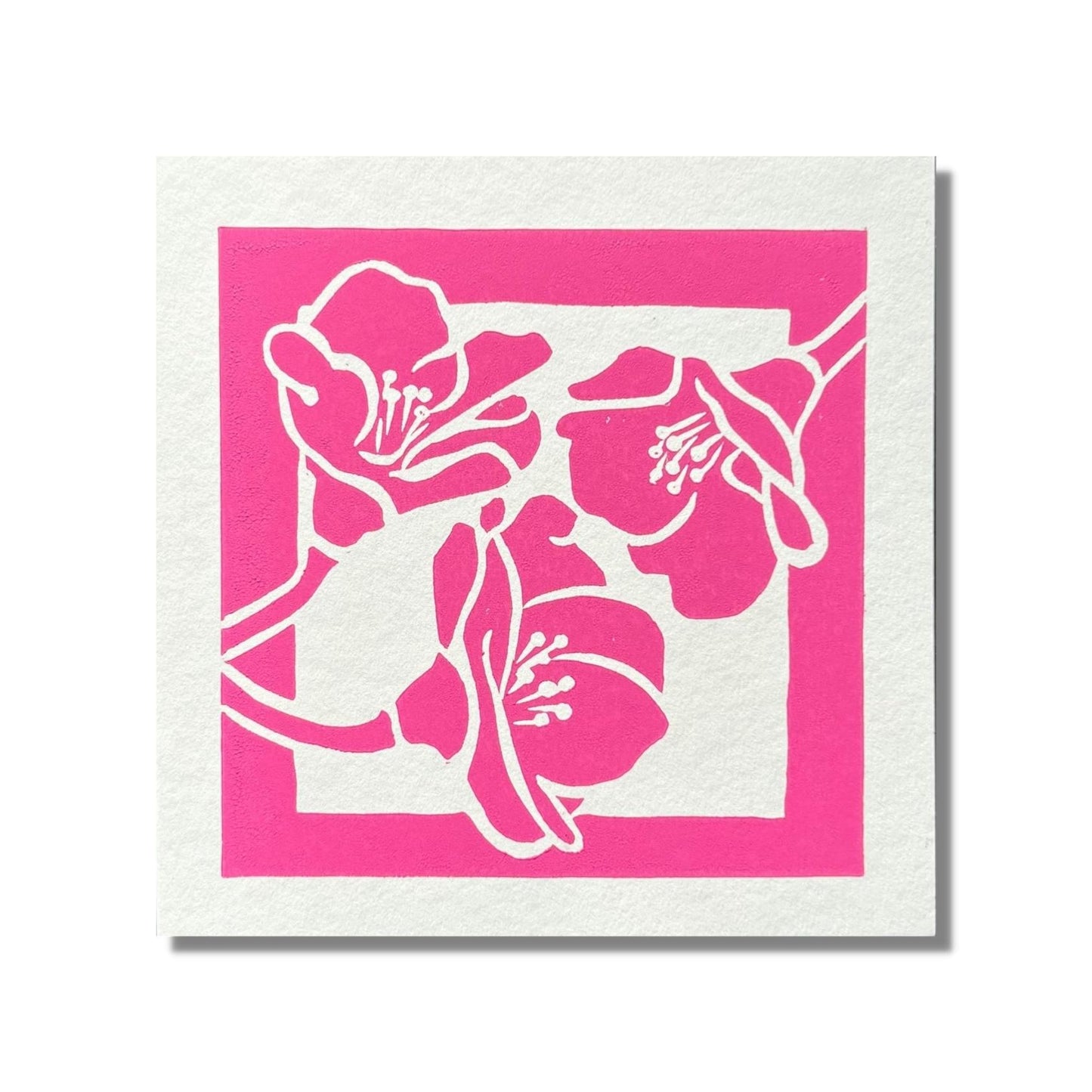 Yuile Street Greeting Card - Magenta Flowers