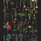 Annie Sloan RHS DECOUPAGE PAPER FORMAL GARDEN