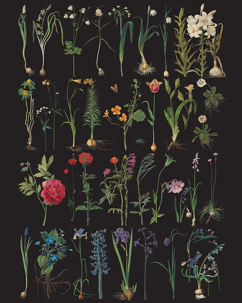 Annie Sloan RHS DECOUPAGE PAPER FORMAL GARDEN