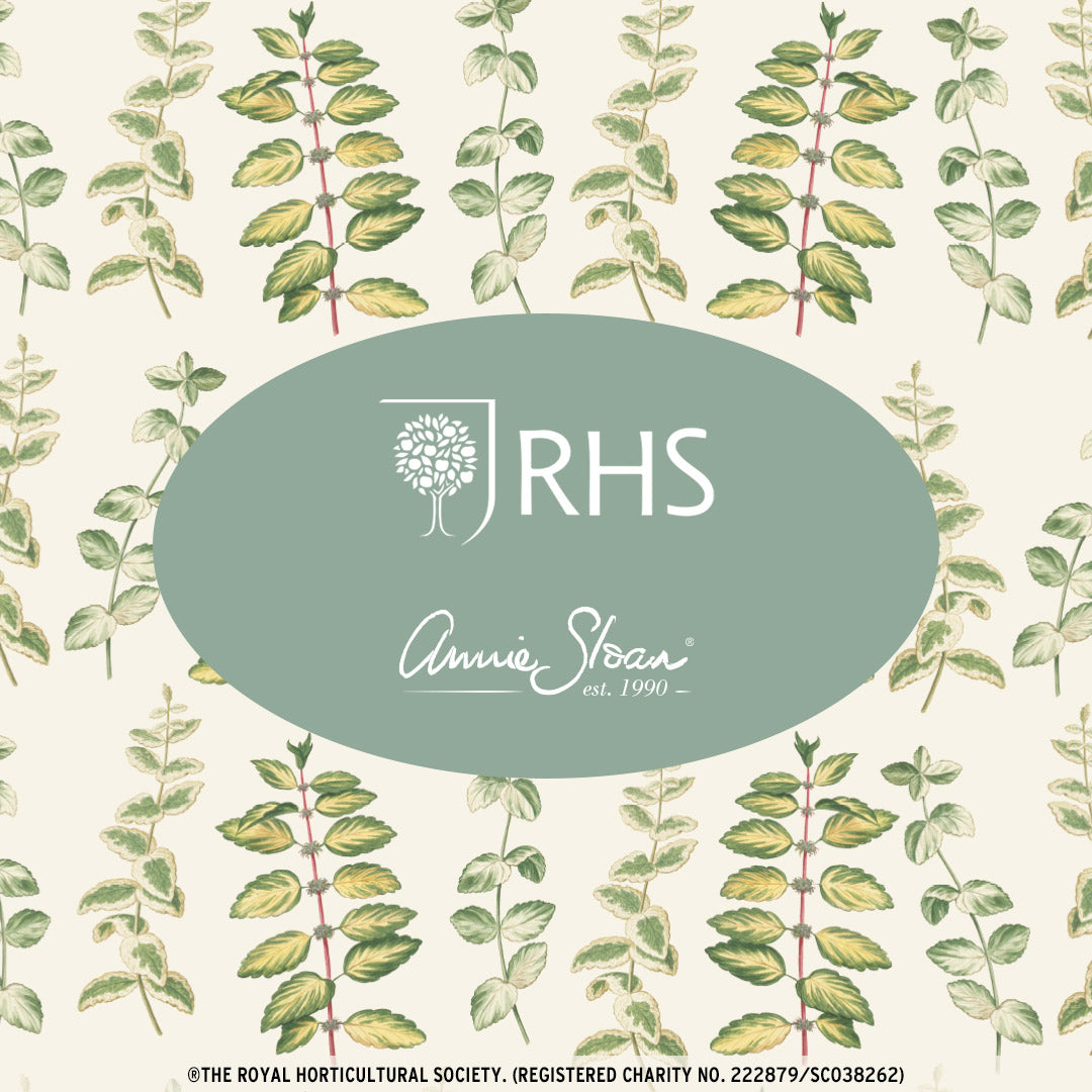 Annie Sloan RHS DECOUPAGE PAPER MINT