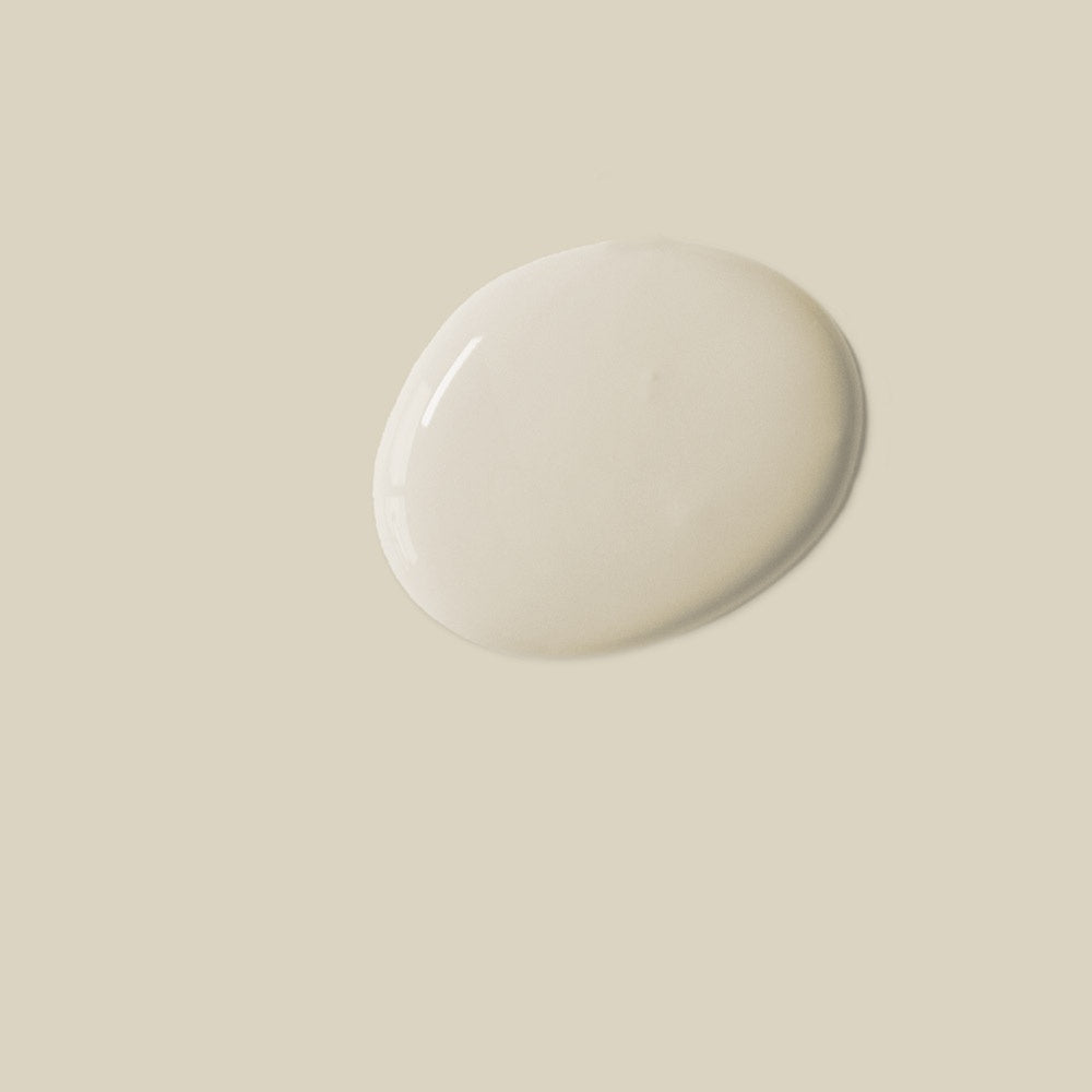 Canvas Satin Paint by Annie Sloan