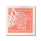 Yuile Street Greeting Card - Native Grevillea