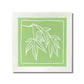 Yuile Street Greeting Card - Japanese Maple