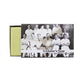 Sporting Nation Cricket Gift Box -  Bat Line Up